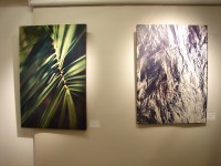 /album/fotogaleria/dsc09039-jpg/