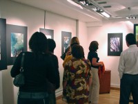 /album/fotogaleria/dsc09019-jpg/