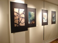 /album/fotogaleria/dsc09024-jpg/